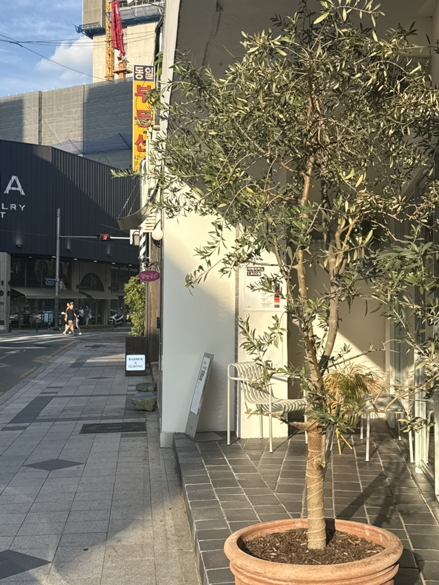 경탄성 사진 1