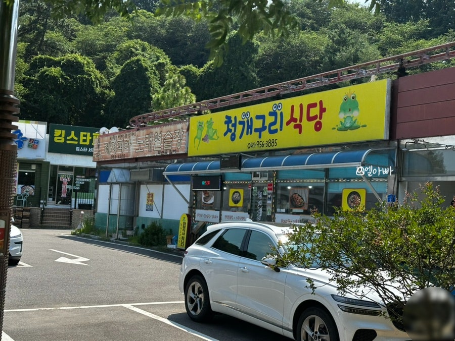 청개구리식당 사진 2