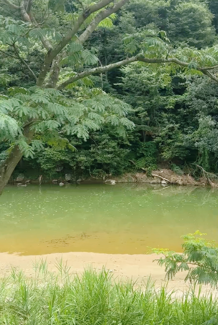 강촌 사진 6