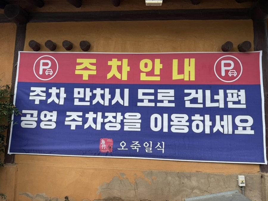 오죽 사진 3