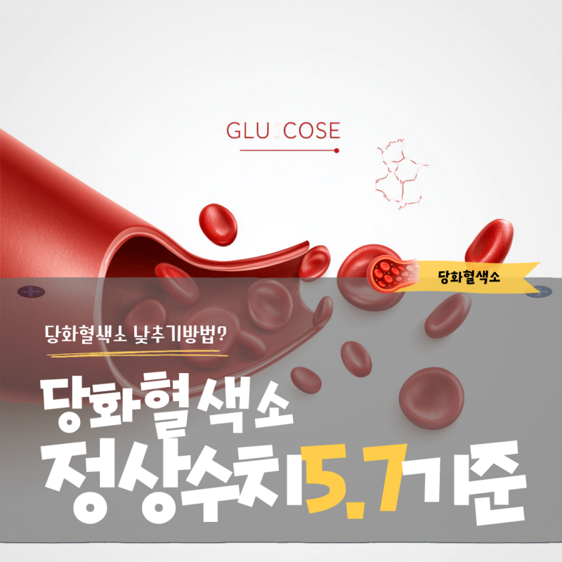 당화혈색소 정상수치 5.7 기준 효율적인 낮추기 방법