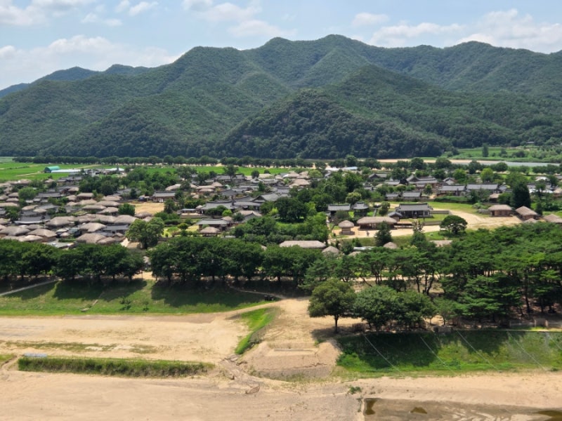 [안동 당일치기 여행 2편-1] 안동 관광택시 타고 부용대 올라 하회마을 한눈에 담기!