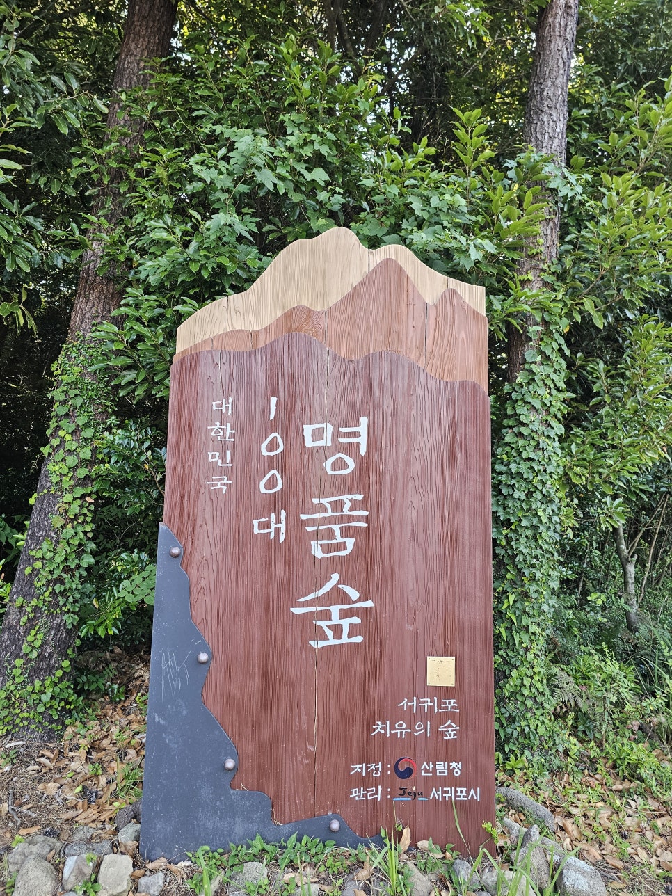 서귀포 치유의 숲 노고록 숲길 사진 4