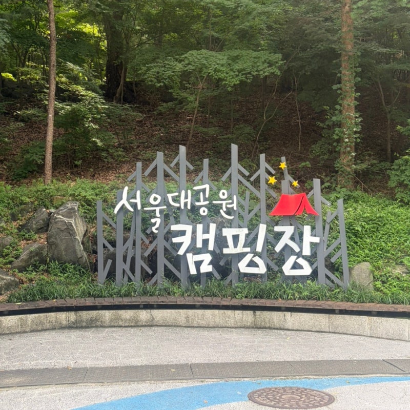 [과천] 서울대공원 캠핑장 215호 주말 방문기! 명당자리 분석 & 주차 꿀팁·필수 준비물 총정리