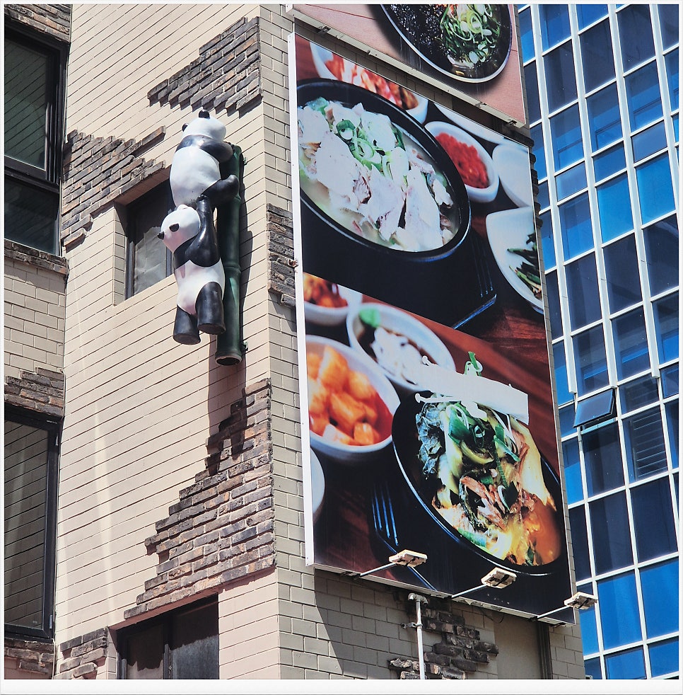 해운대합천돼지국밥 사진 3