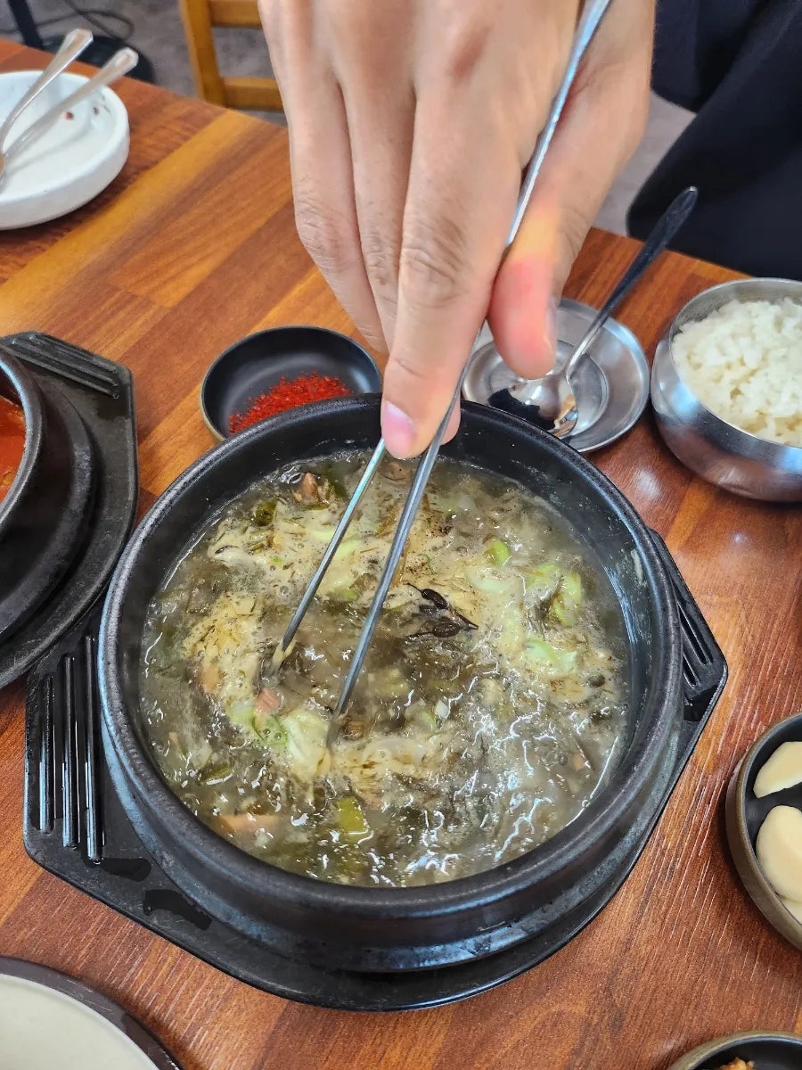 교래퐁낭 사진 2