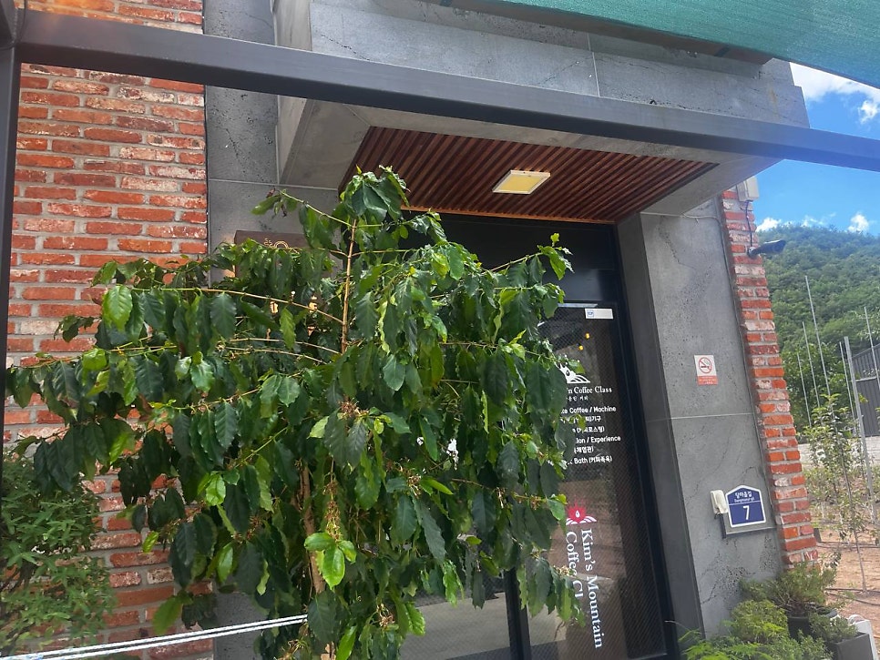 킴스마운틴커피클래스 사진 1