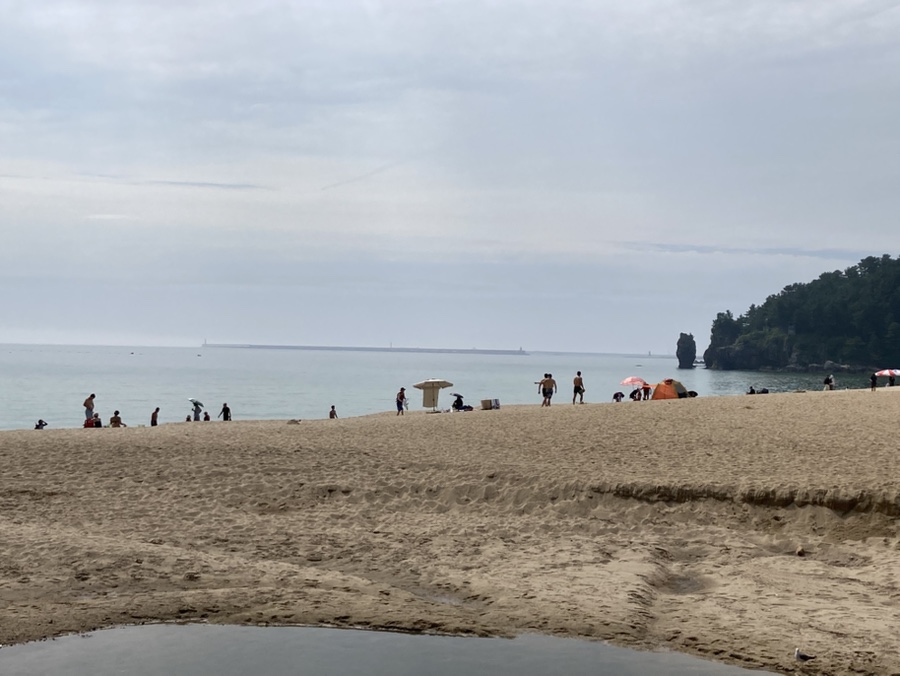 파닭김밥 사진 2