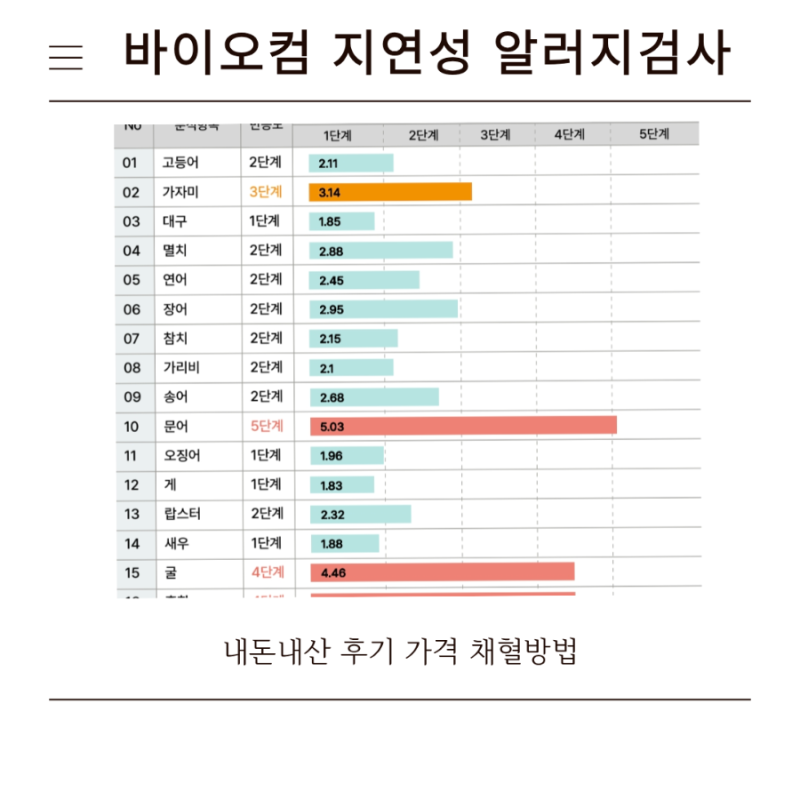 바이오컴 지연성 알러지 검사 내 돈 내산 후기 / 채혈방법 검사 가격