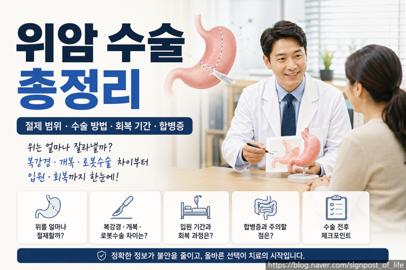 위암 수술 총정리｜위를 얼마나 자를까? 복강경·개복·로봇수술부터 입원·회복까지