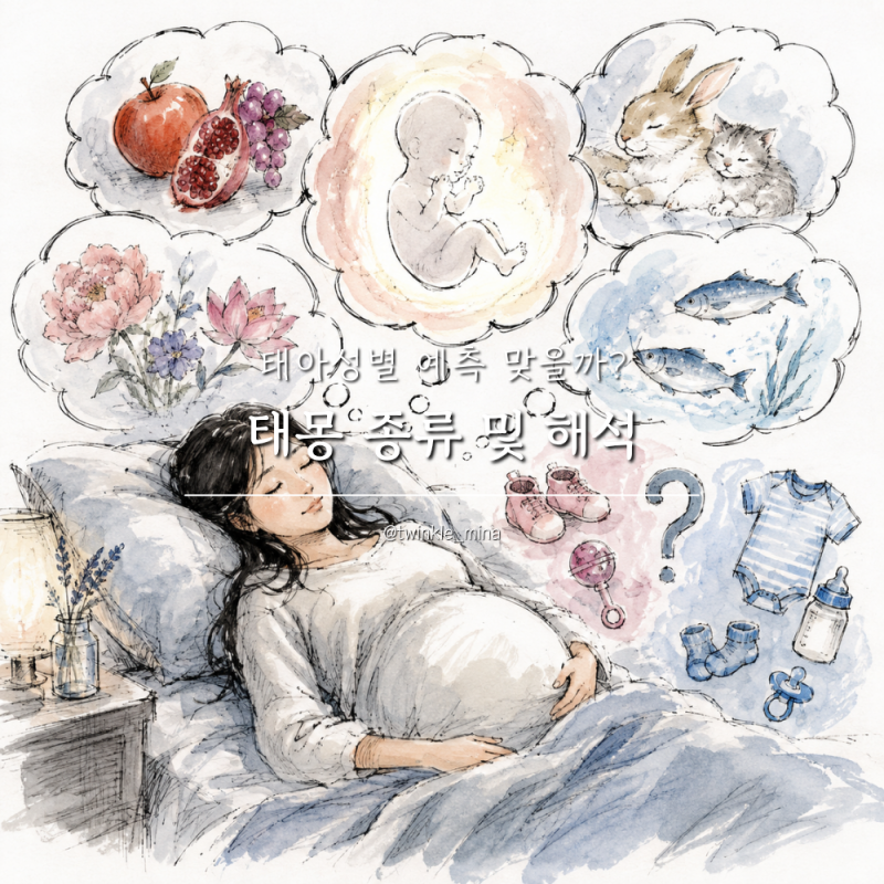 태몽 종류 및 해석 태아성별 예측 맞을까?