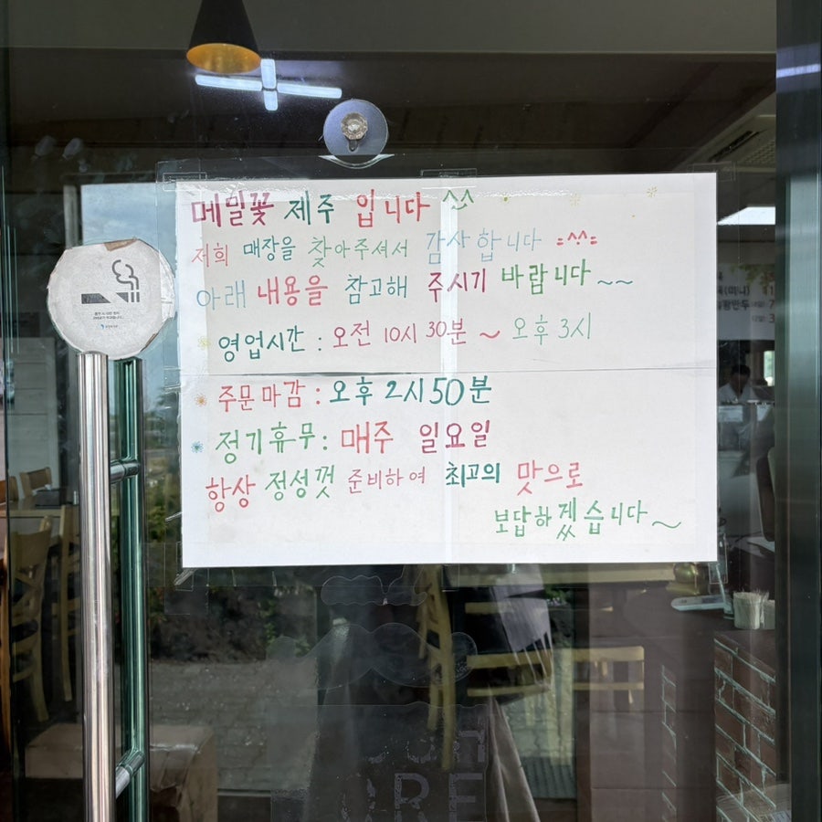 메밀꽃제주 사진 2