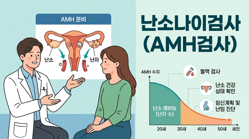 AMH검사, 난소나이검사-내 난자가 45세라고??
