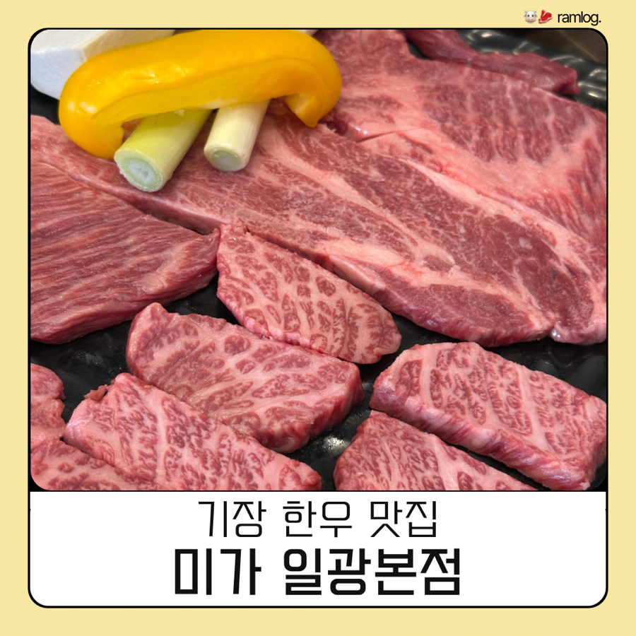 미가 사진 1