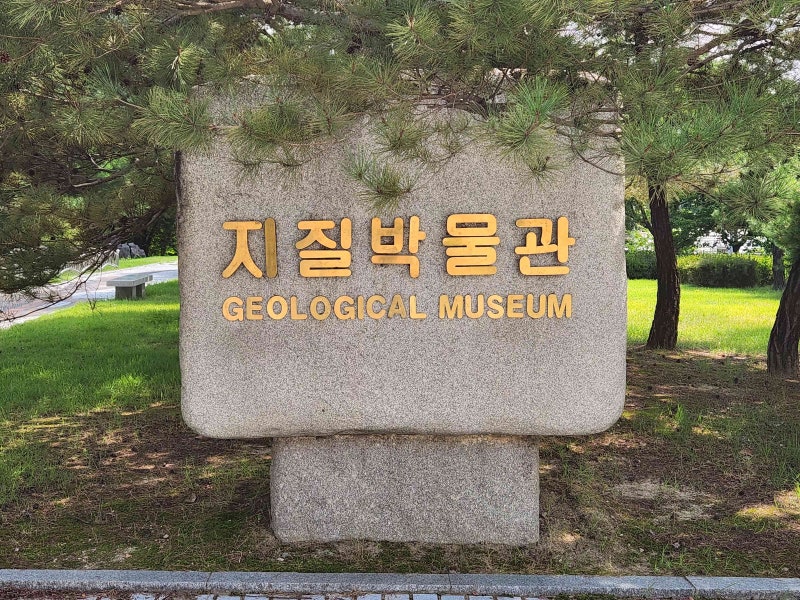 대전 지질박물관 아이와 관람 후기｜공룡 화석부터 암석, 광물 체험까지