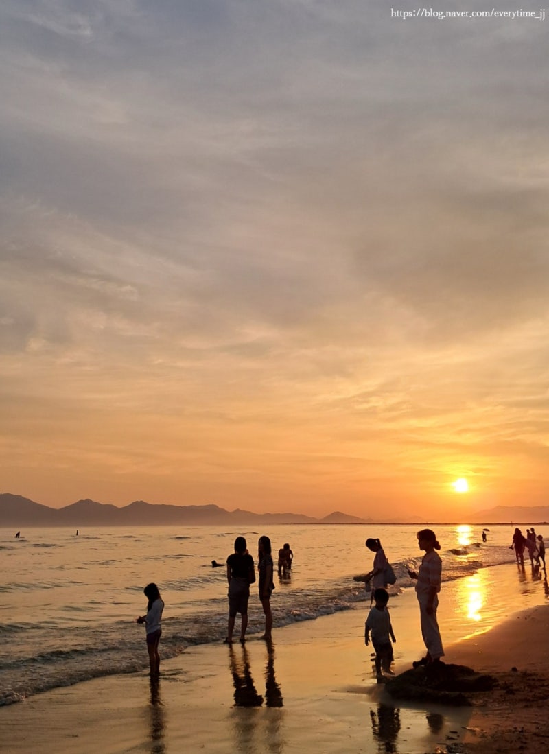 Summer Vacation Night Sea: Busan Dadaepo Beach Restaurant and Cafe Recommendations