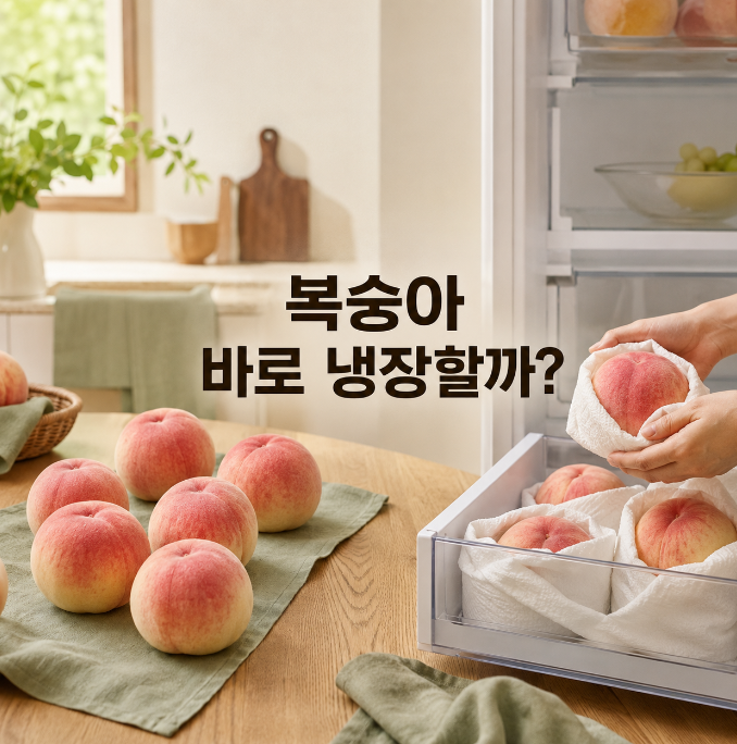 복숭아 보관법, 냉장고에 바로 넣기 전 보세요
