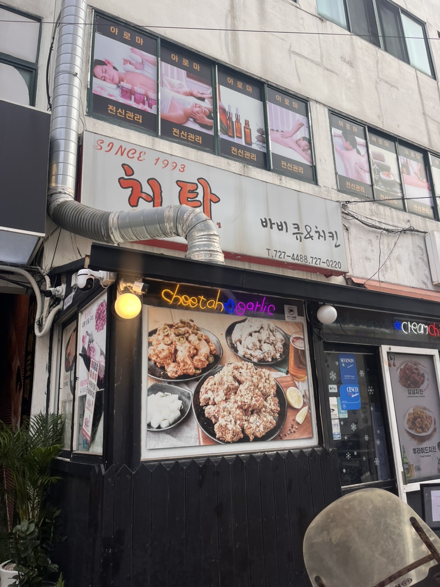 치타 사진 1