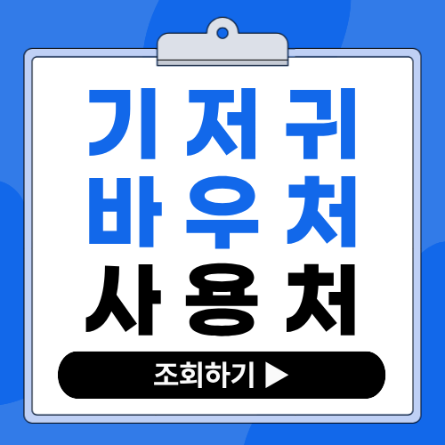 2026 기저귀 바우처 카드사별(삼성, 국민, BC, 롯데) 사용처 총 정리!