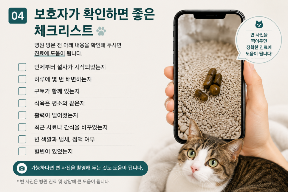 모리네동물의료센터 사진 4