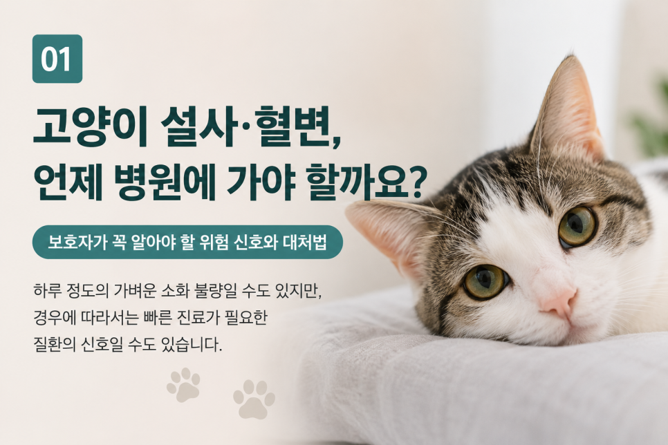 모리네동물의료센터 사진 1