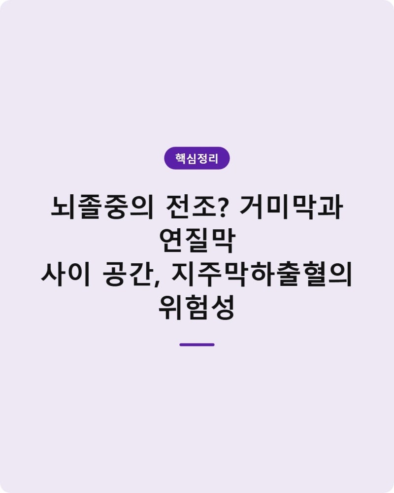 뇌졸중의 전조? 거미막과 연질막 사이 공간, 지주막하출혈의 위험성