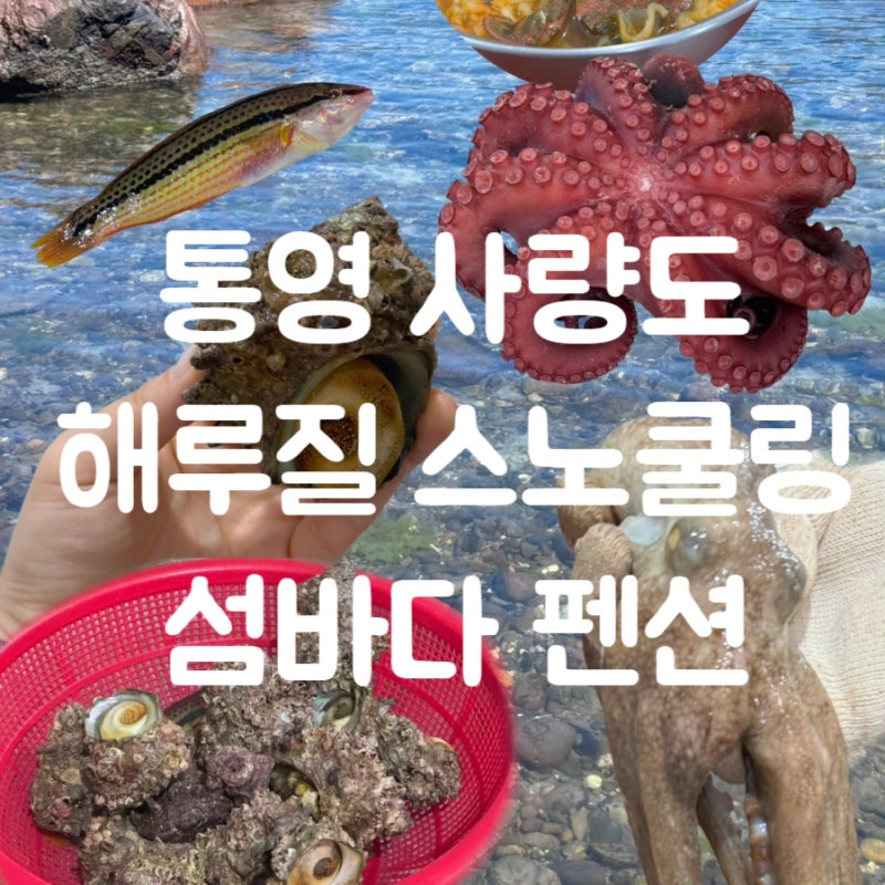 통영 해루질 스노쿨링 뿔소라 문어 잡은 곳 사량도 펜션 섬바다