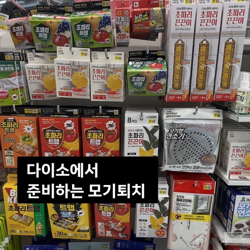 다이소 모기퇴치 용품 '이것만' 챙겨도 올여름 벌레 걱정 끝