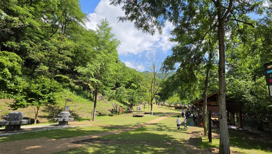 용지봉 사진 4