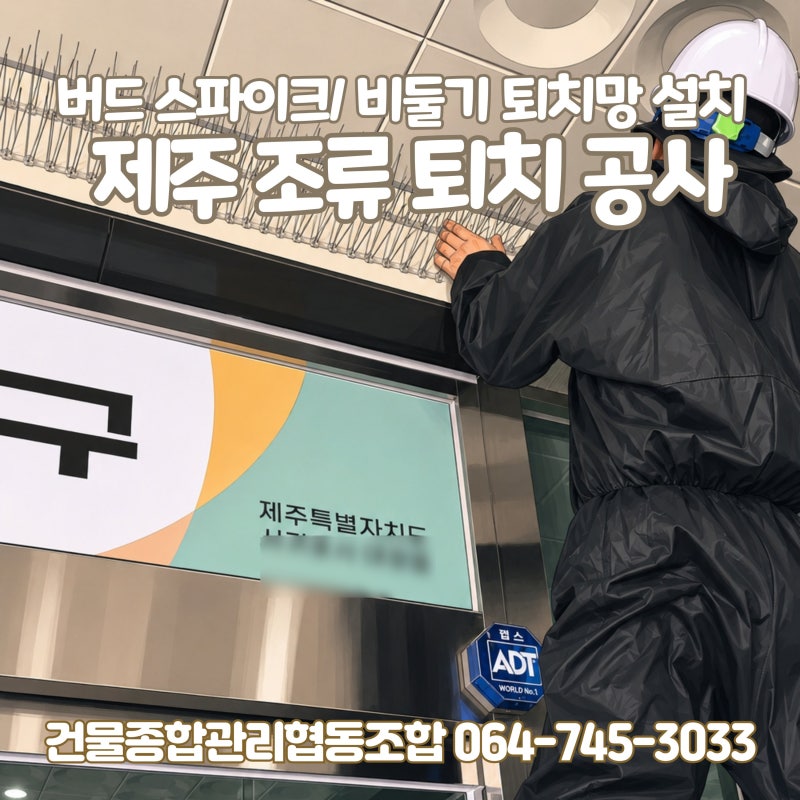 제주 조류 퇴치공사. 비둘기 배설물 청소 후 버드스파이크와 퇴치망 설치