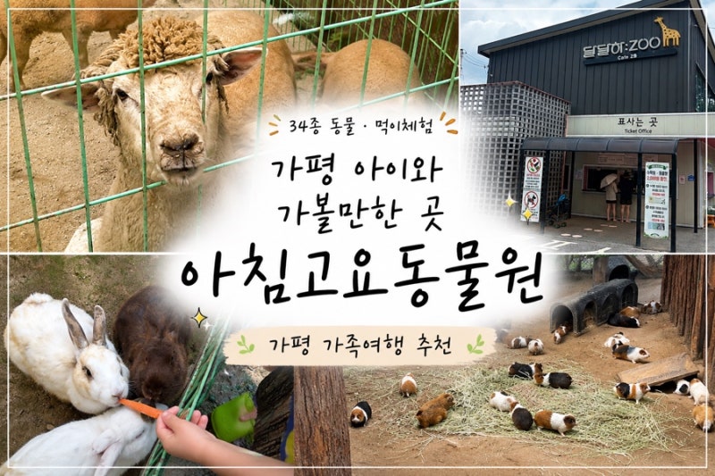 가평 아이와 가볼만한 곳 아침고요동물원 먹이체험 솔직후기
