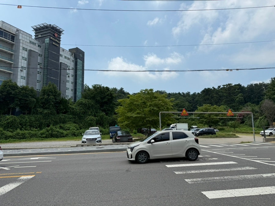 오죽 사진 4
