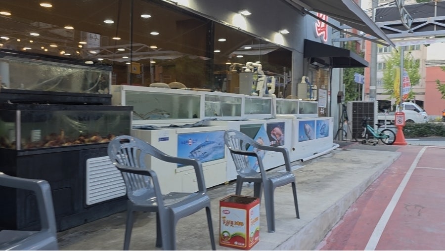 수목원회수산 사진 3