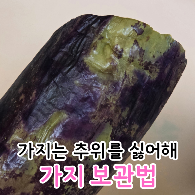 가지 보관법, 냉장고에 넣어두면 망합니다
