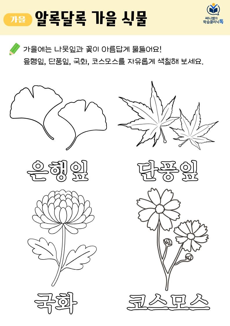 가을 식물 색칠놀이
