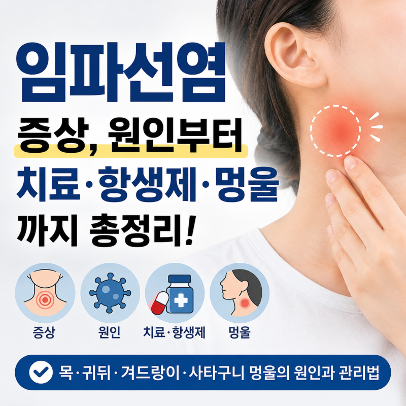 임파선염 증상, 원인부터 치료·항생제·멍울까지 총정리