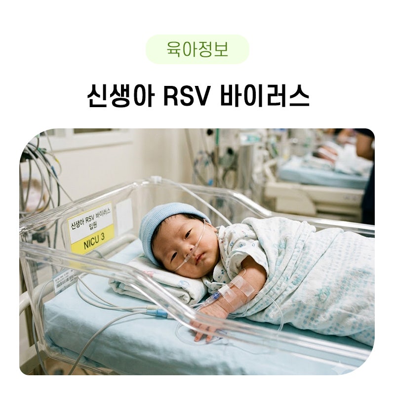 rsv 바이러스 전염 및 증상