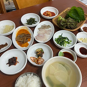 부산 혼자여행 혼밥 중앙동 오뚜기식당 :: 회백반 생대구탕 맛집