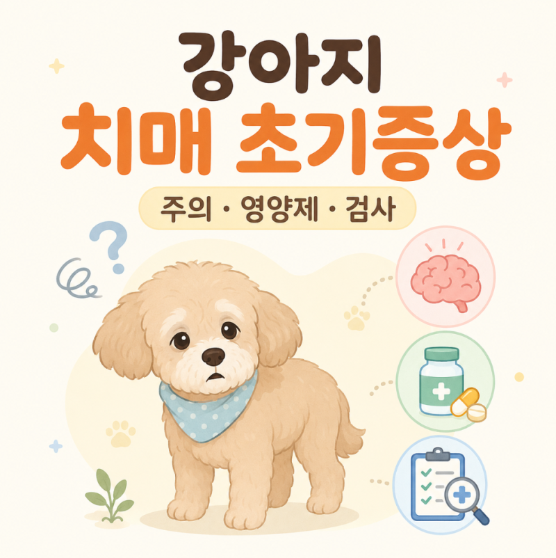 강아지 치매초기증상 이렇다면 주의, 영양제와 검사는?