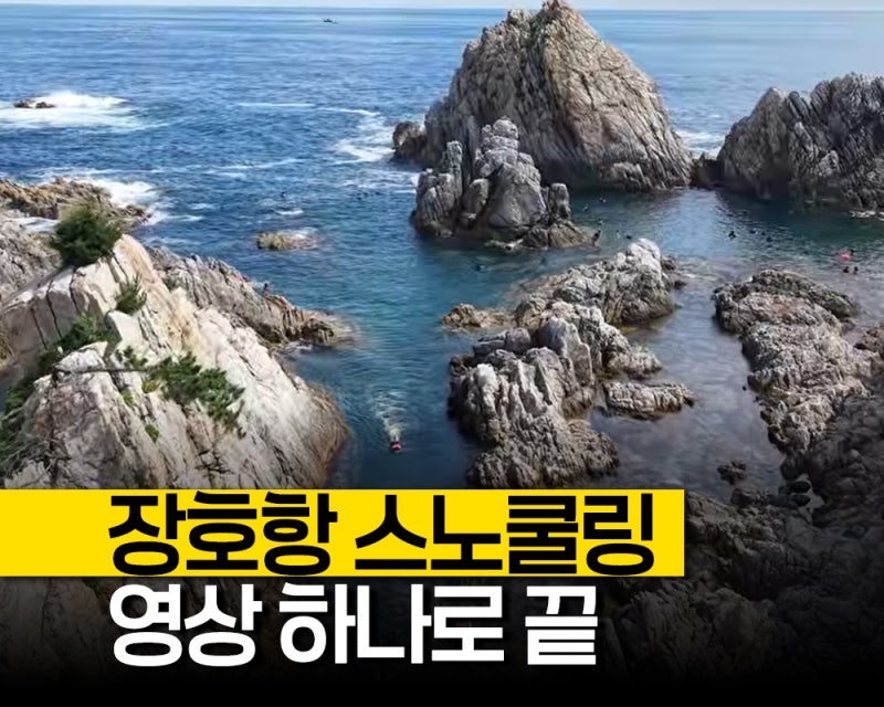 "해파리 주의보 격상" 삼척 장호항 스노쿨링 안전 가이드, 장호항 투명카약과 스노클링