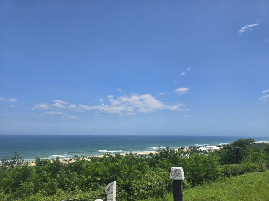 버터도째비 사진 2