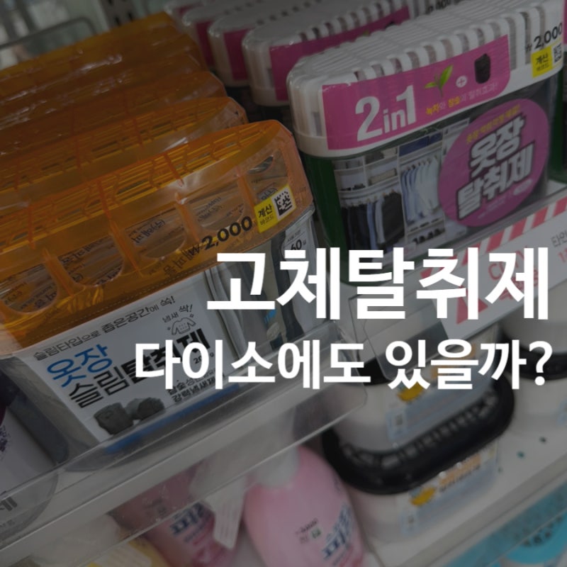 다이소 옷장 탈취제｜사실 고체가 아니었다?