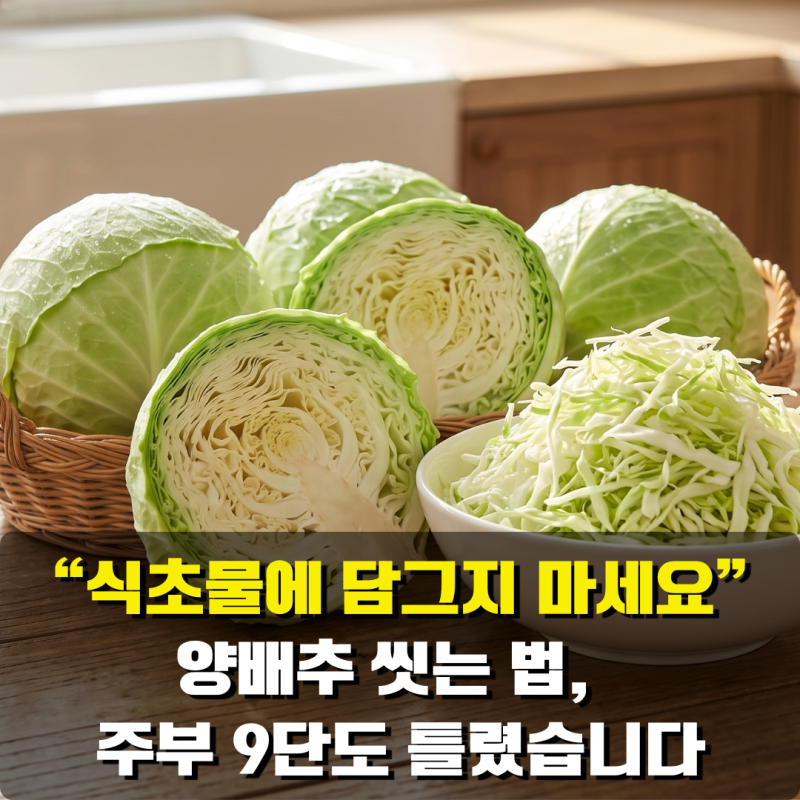 "식초물에 담그지 마세요" 양배추 씻는 법, 주부 9단도 대부분 이렇게 틀렸습니다