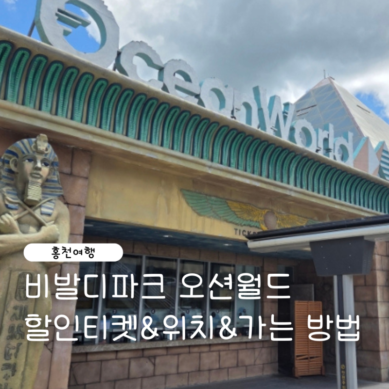 홍천비발디파크 오션월드 가는 방법 놀거리 앤트월드 위치