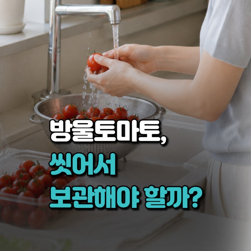 방울토마토 보관법, 씻어서 보관할까? 냉장·실온 보관법과 유통기한 총정리