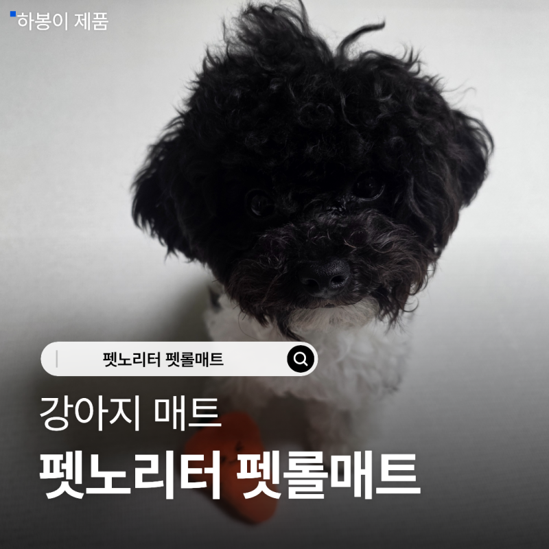 강아지 매트 고민끝 펫노리터 펫롤매트 러그베이지 사용기
