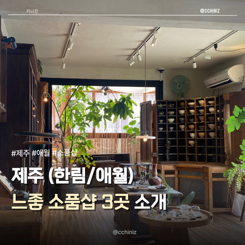 [제주/한림,애월] 느낌이가 도라방스세요~!!❤️ 제주 느좋 소품샵 탐방기 (수풀/서쪽가게/리....