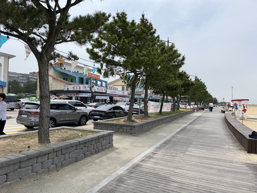 노봉해변 사진 1
