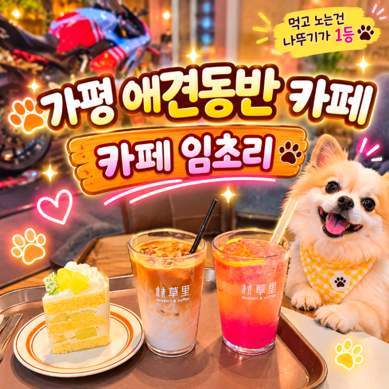 가평 애견동반 카페 아침고요수목원 주변 카페 임초리