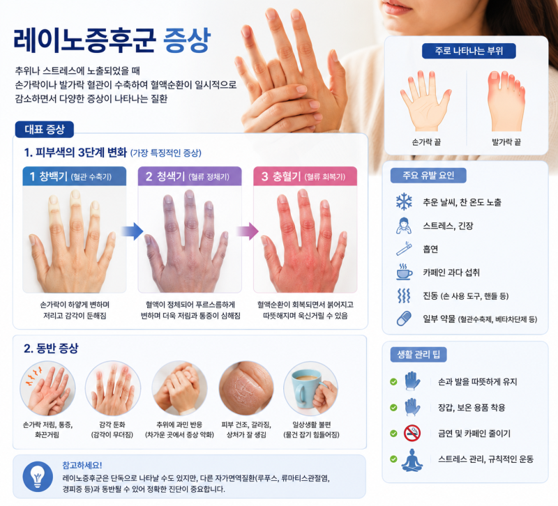 레이노증후군 마법 같은 3단계 피부색 변화